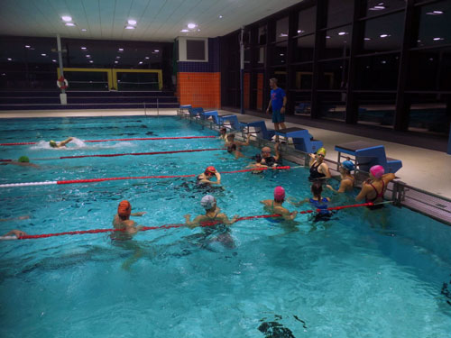 Lü schwimmen